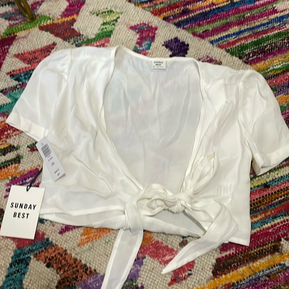 Aritzia Sunday best wrap crop top